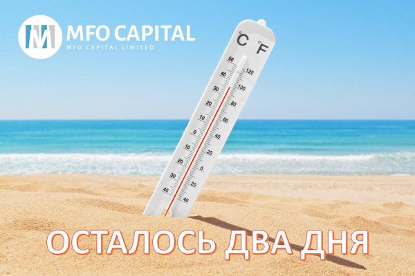 MFO.Capital -   