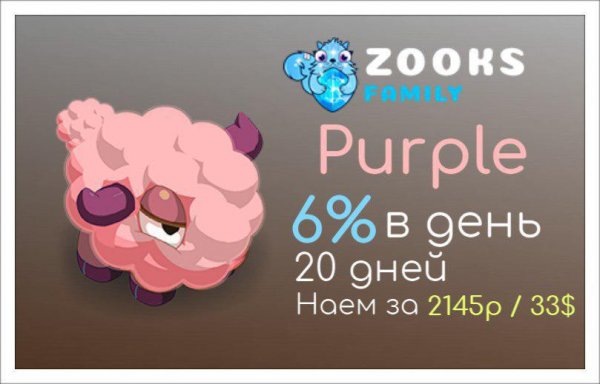 Zooks Family -  Purple