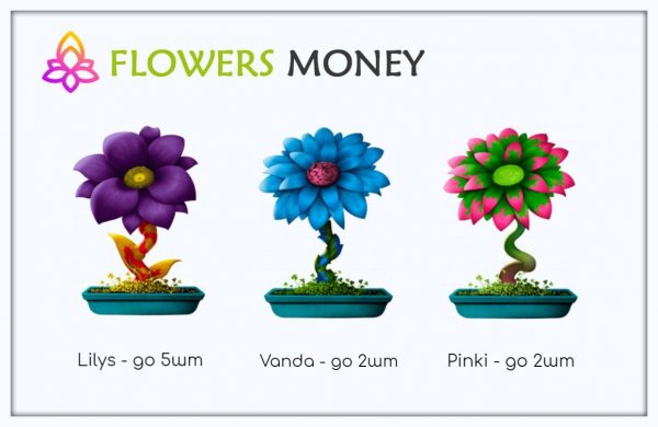 Flowers -  