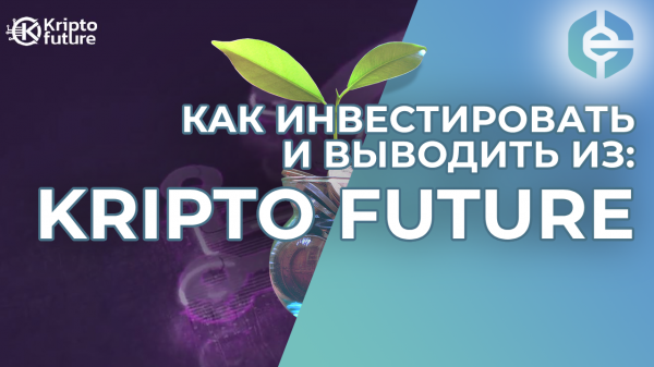 Kripto Future -     