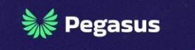 PegasusInvest