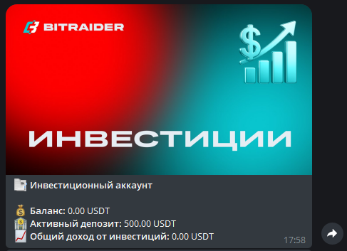 bitraiderai_bot, BitraiderAI, bitraider.ai