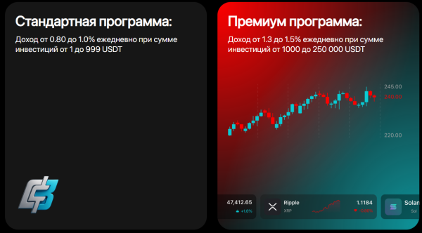 bitraiderai_bot, BitraiderAI, bitraider.ai