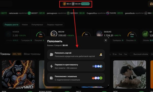 catapult trade, catapult.trade, ����� catapult trade, catapult ���������, catapult ������ ������, catapult trade �����������, catapult ������, catapult trade ��� ��������, ������ ���������, defi �������, launchpad ������, web3 �������, ������ �����, ����� ������ �������